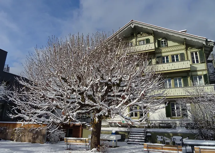 The Hostels Backpackers Villa Sonnenhof - Interlaken